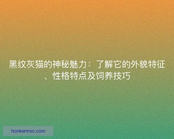 黑纹灰猫的神秘魅力：了解它的外貌特征、性格特点及饲养技巧