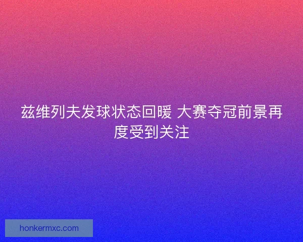 兹维列夫发球状态回暖 大赛夺冠前景再度受到关注 兹维列夫发球状态回暖 大赛夺冠前景再度受到关注